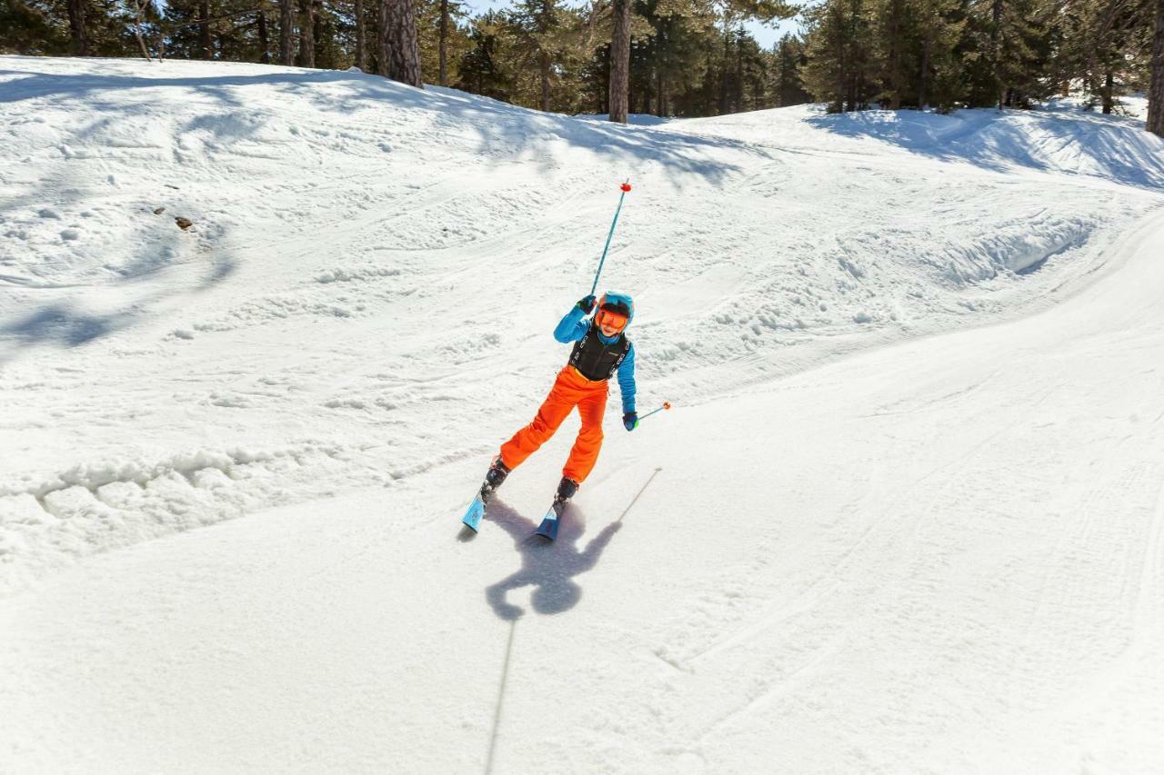 Troodos Hotel & Spa Eksteriør bilde